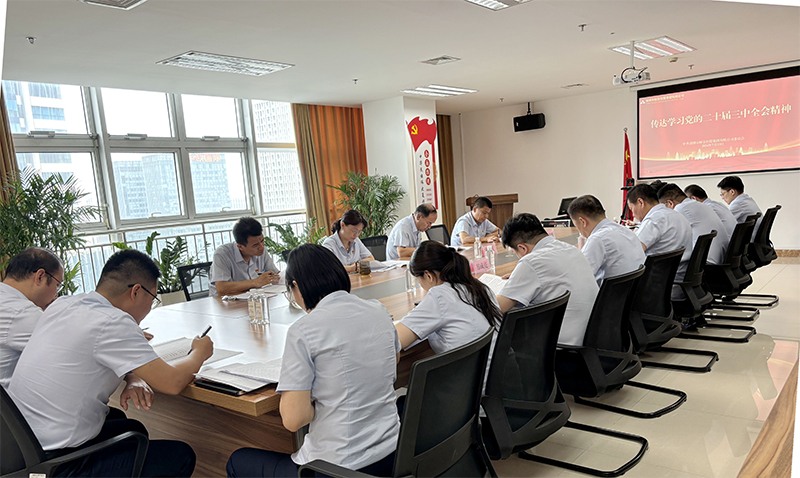 BEVITOR·伟德国际召开党委扩大会议 传达学习党的二十届三中全会精神